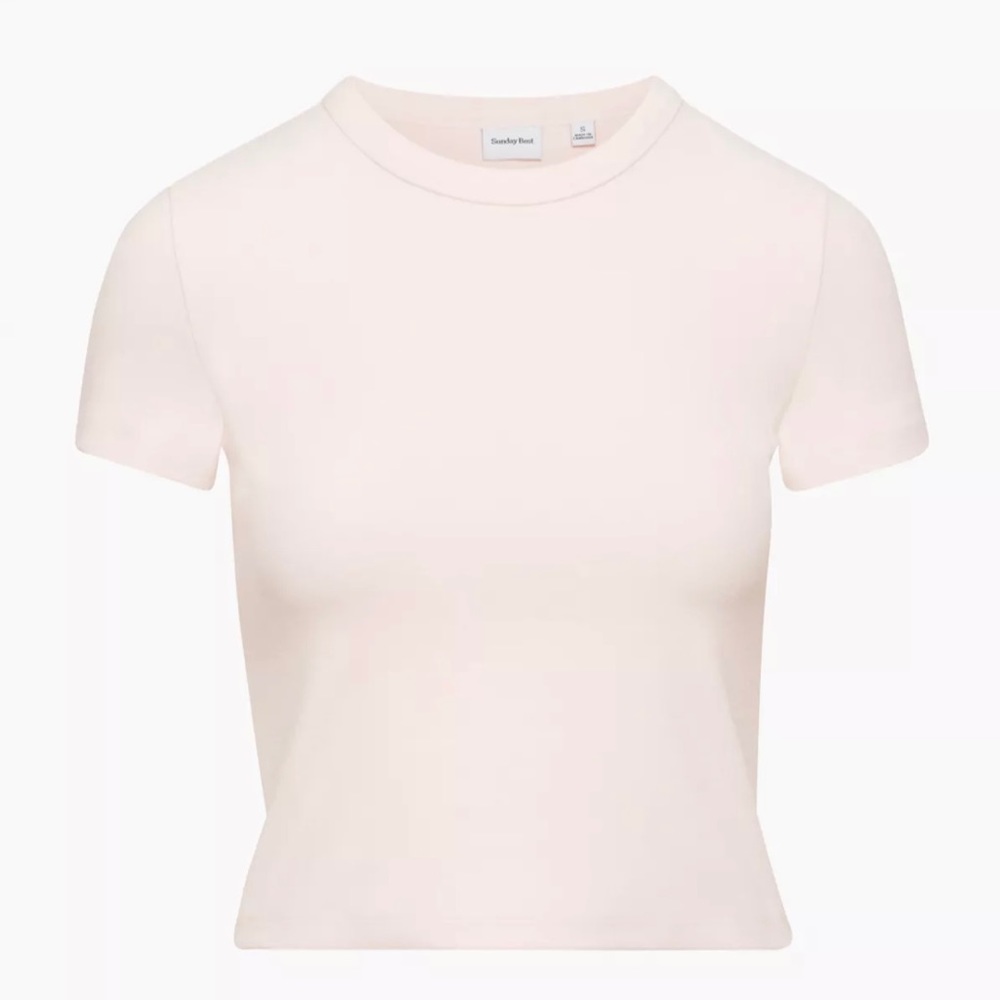 Aritzia Sunday Best Little Ribbed Tee